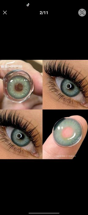 Целогодишни цветни Лещи