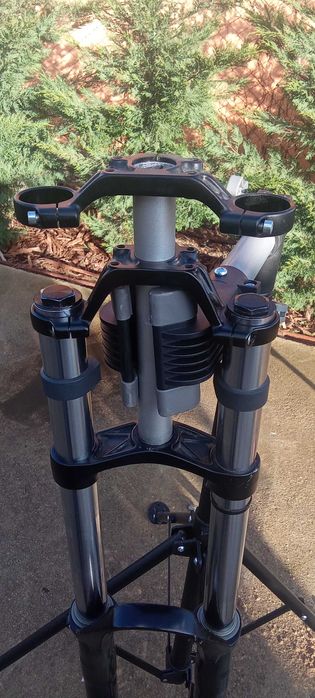 Rock Shox Domain double crown