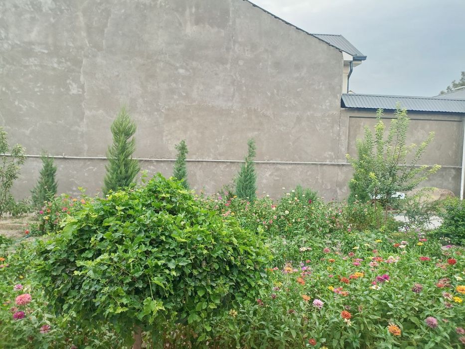 Сйргли район уй сотилади ховли зор жойда жойлашган шошлилила опколишга