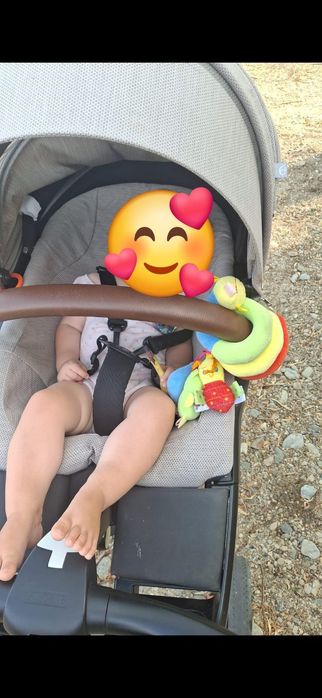 Carut stokke v 6 xxl