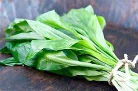 Левурда, мечи лук, див лук, див чесън