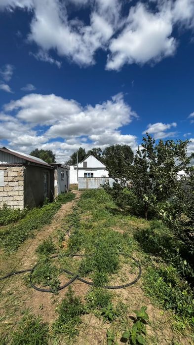 Продам 3 - комн. дом на дачном участке .