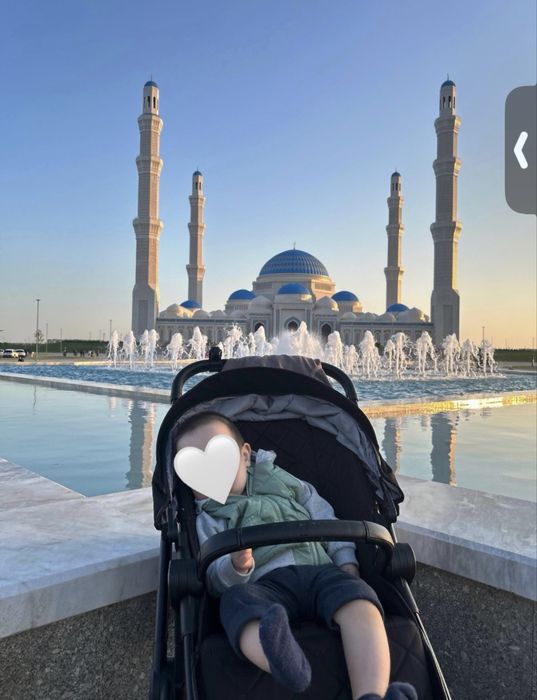 Коляска универсальная 2 в 1