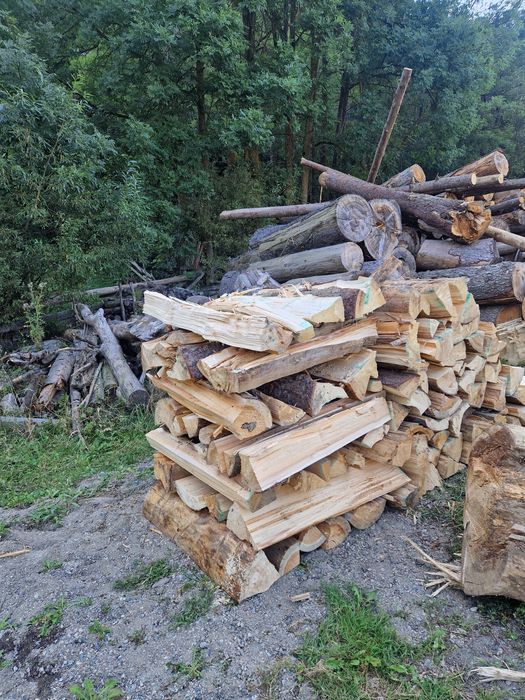 Vând lemn Foc rășinoasă/ fag