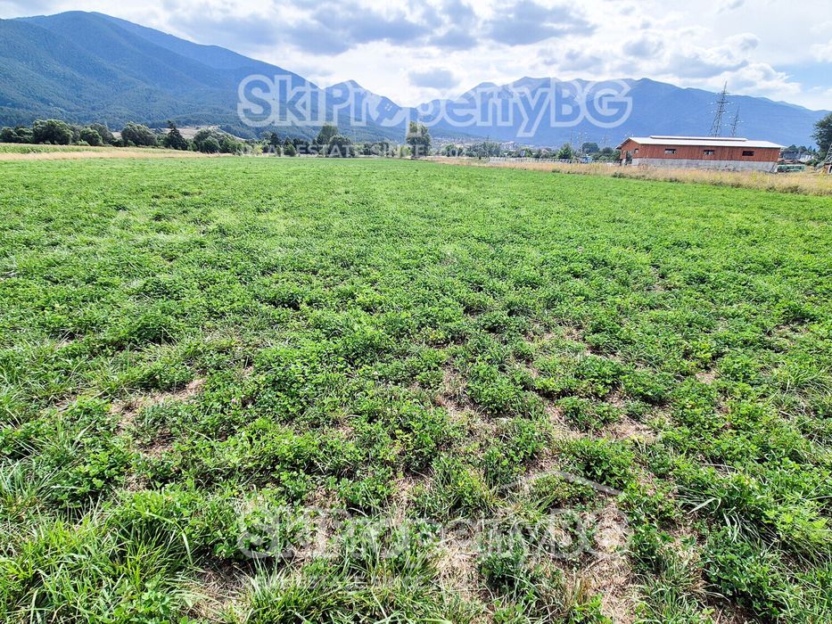 Предлагаме два съседни имота за продажба!