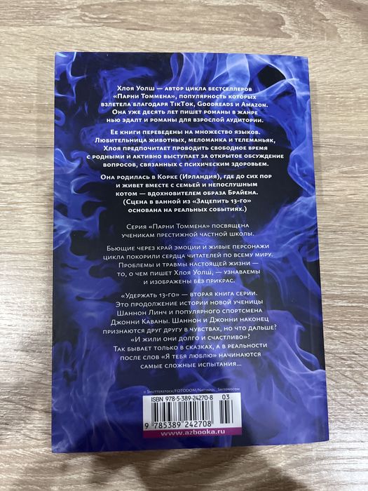 серия книг «Парни Томмена»