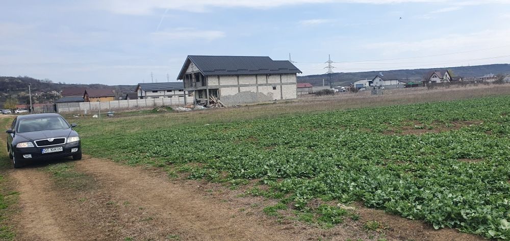 Teren Intravilan Sat Proaspeți,Curtisoara