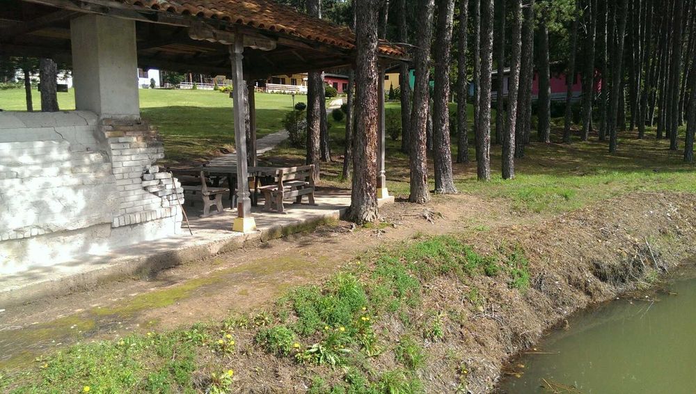 Къща за гости,почивна база,бунгала село Осетеново, Калофер, Павел баня