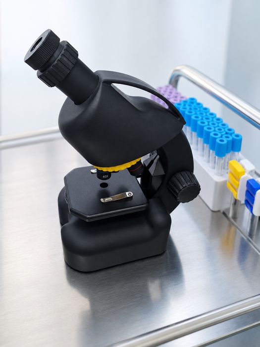 Microscop National Geographic pentru începători – educațional / hobby