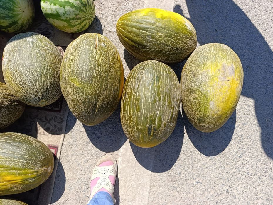 Шифонер таза тез арада сатылады