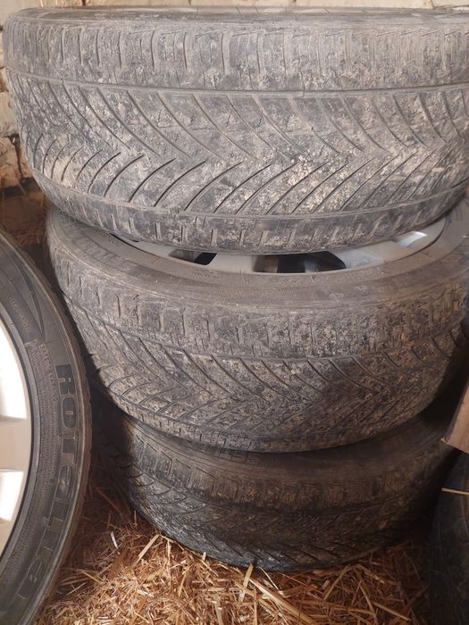 17 диска балони билан сотелади