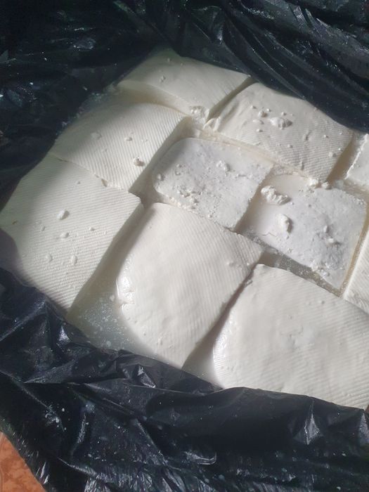 Branza de capra de vanzare