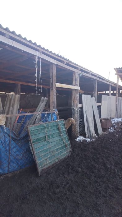 Үй сатылады/Срочно продаеться