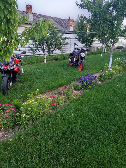 Ktm Duke 125 motocicleta A1
