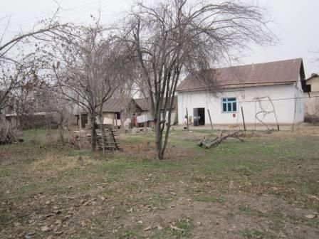 Продам дом с  участком в пригороде Ташкента. От границы Ташкента 2 км.