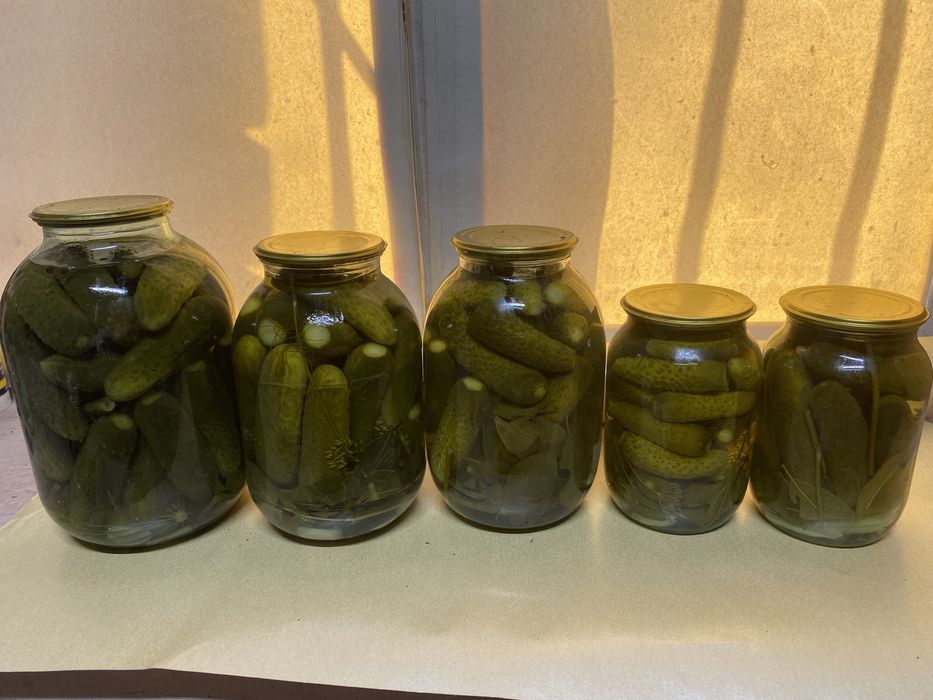 Консервация домашняя