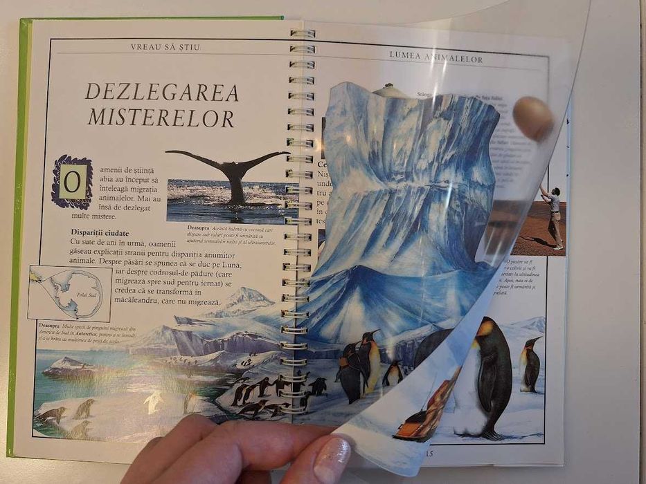 Lumea animalelor - Numai cei puternici supraviețuiesc (ed. Teora)