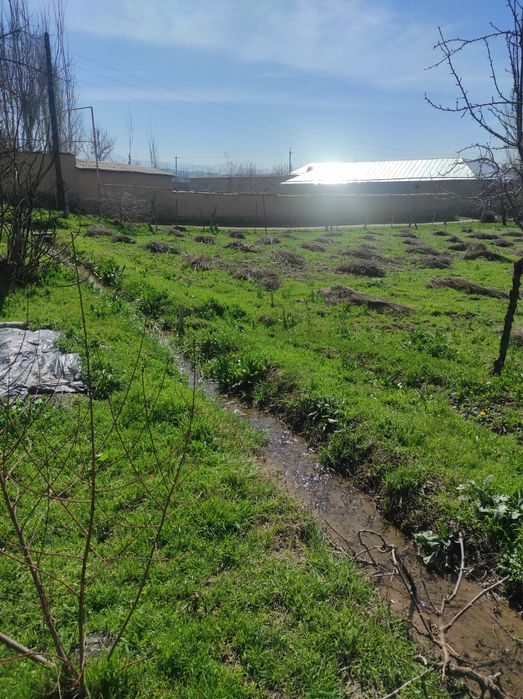 Йер сотилади, 16 сўток (8 сўтокдан ҳам бўлиб берилади)