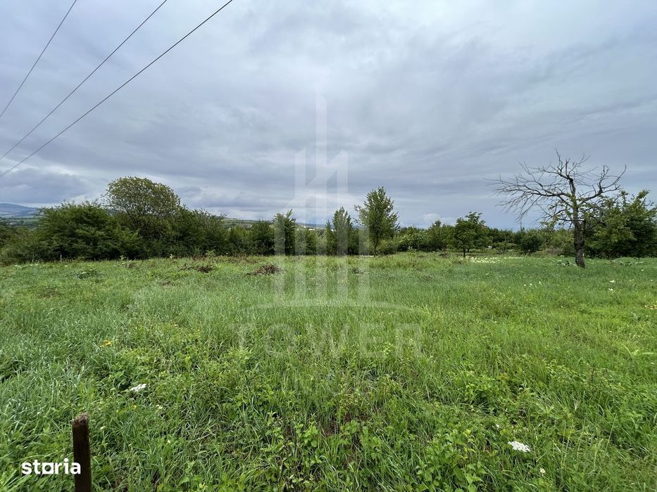 Teren intravilan de vânzare în Daia Nouă – 1.000 mp