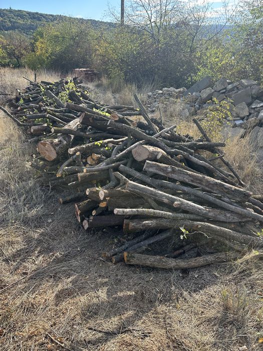 Дърва за огрев  от плодни дървета
