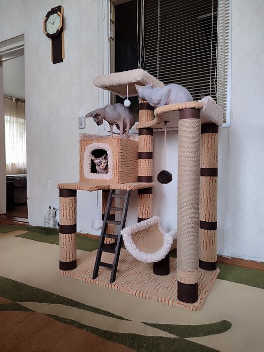 Комплекс для кошечек.