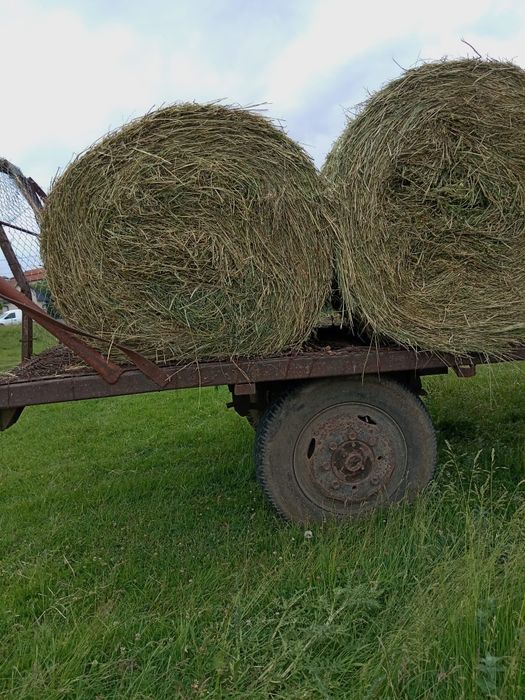 Vând baloți de lucernă 120 pe 120