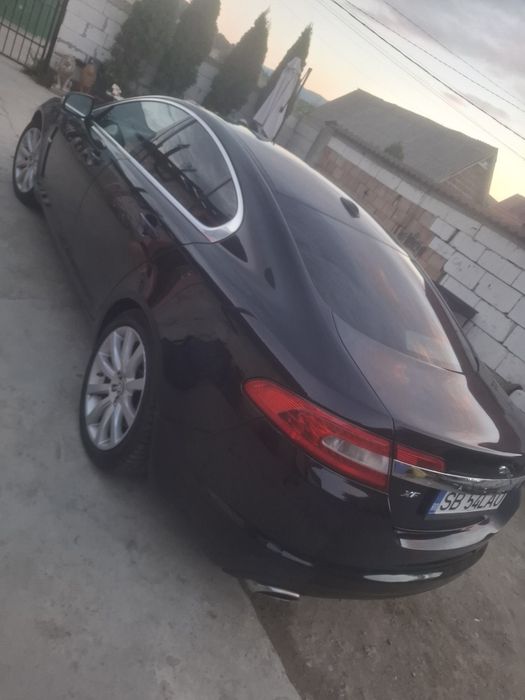 Vand jaguar an stare pefecta
