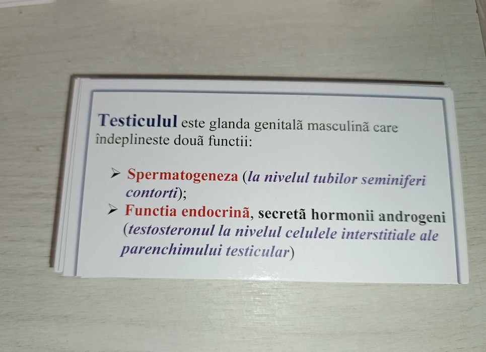 Set Flashcards Corint pe capitole