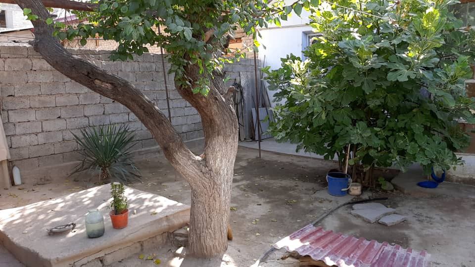 Продается дом  на земле