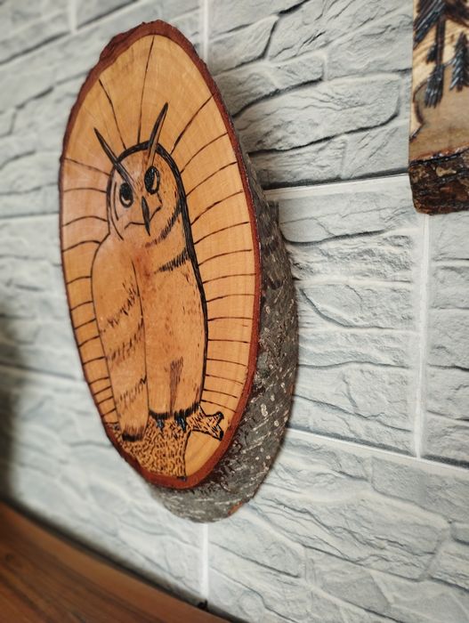 Tablouri pirogravate cu diferite imagini