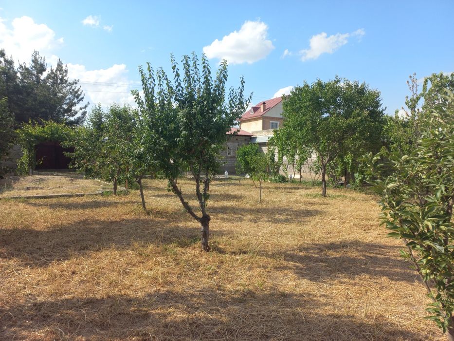 Dacha yer Qibray tumani