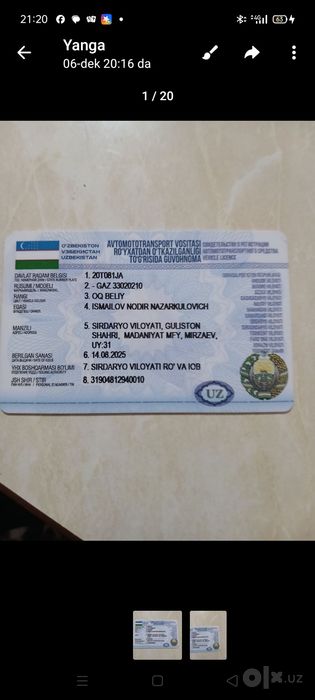 Gazel tentli gazel