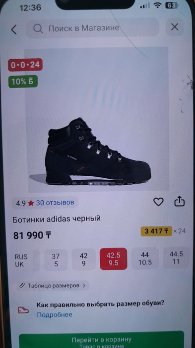 Ботинки мужские Terrex