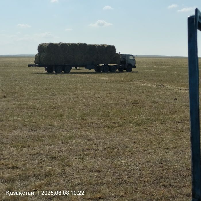 Рулон первакос сатылады кг 300