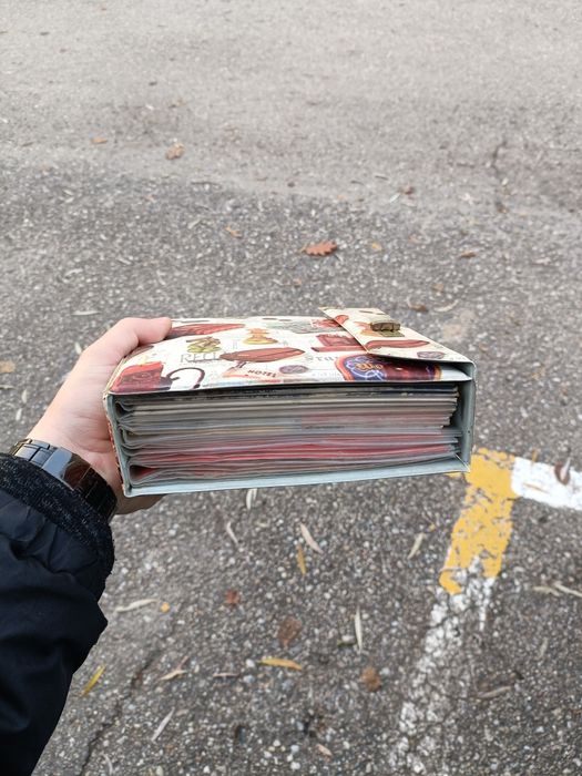 Lot 21 viniluri Germania