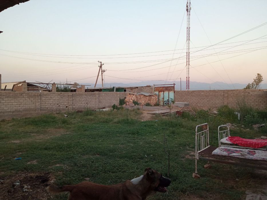 Qibray qibchoq mfyda er sotiladi