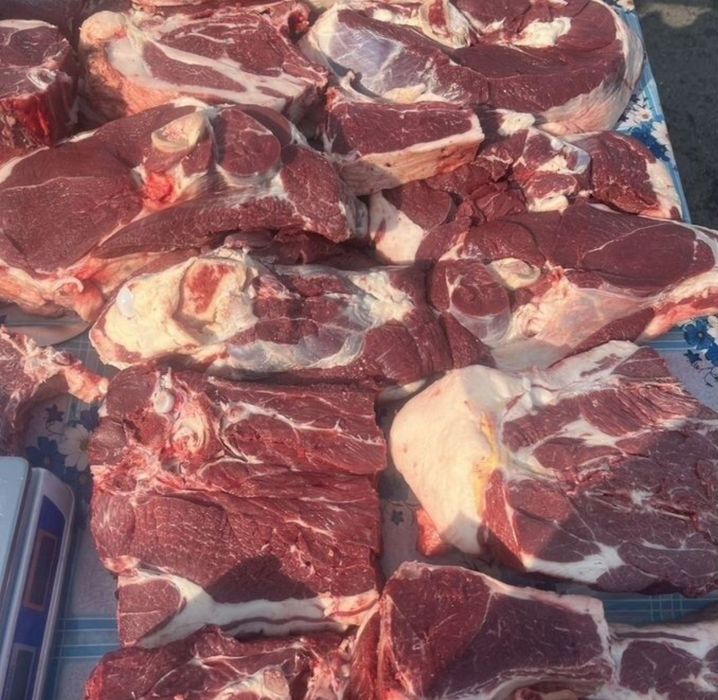 Соғым сатылады Тарбагатайдыкы