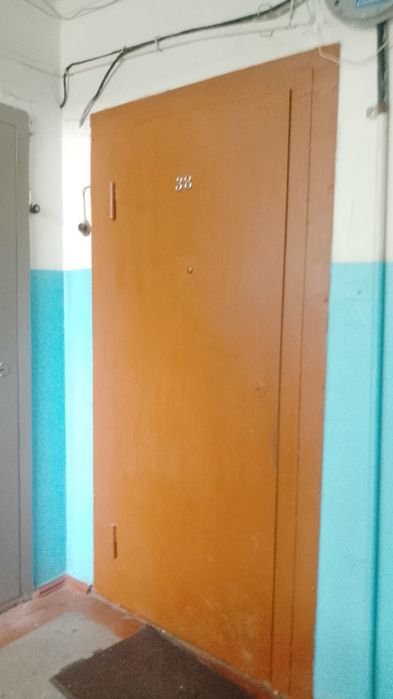 Железная входная дверь