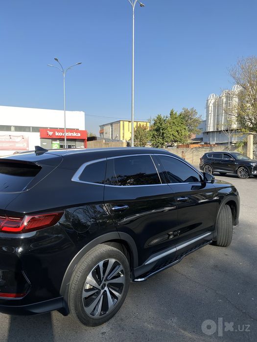 Byd chempion 2024 official