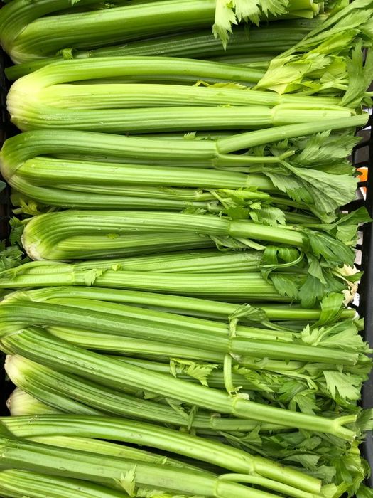 Стебель Сельдерей