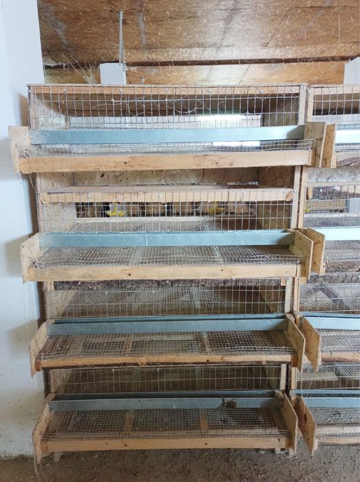 Клетка для перепелов