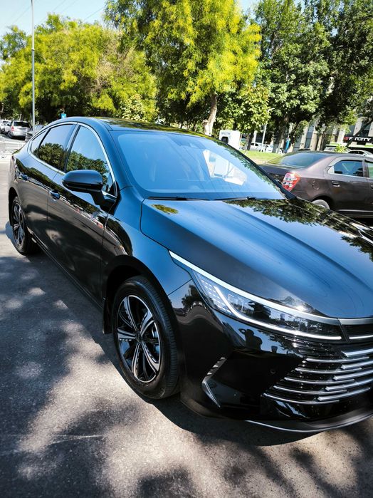 BYD CHAZOR Full 120 Flagship