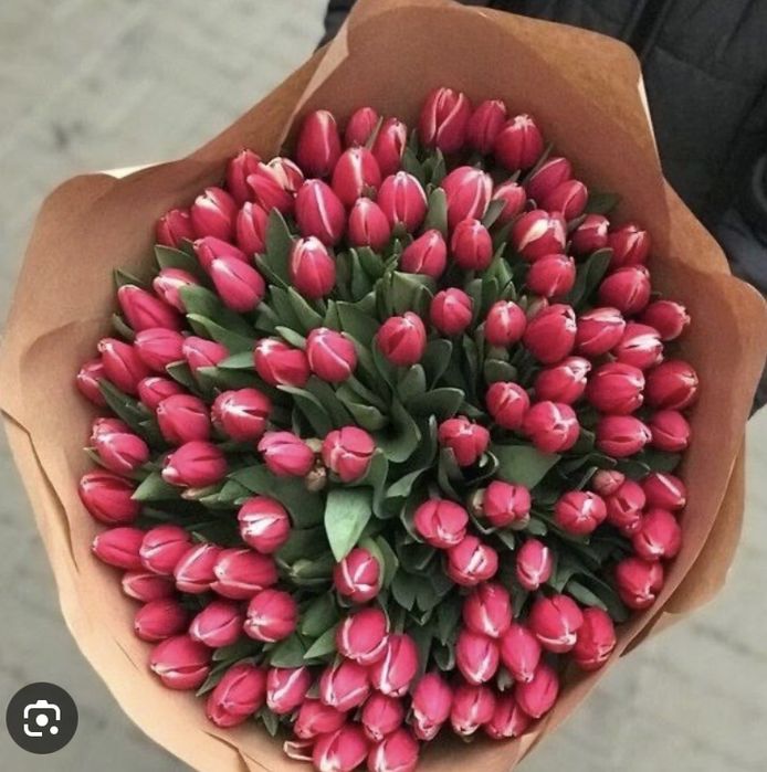 Тюльпаны из голандии