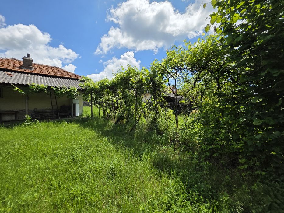Casa batraneasca cu teren 3000 m, Calinesti, Arges