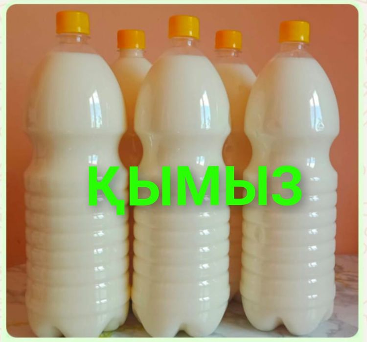 Қымыз балғын кумыс шұбат