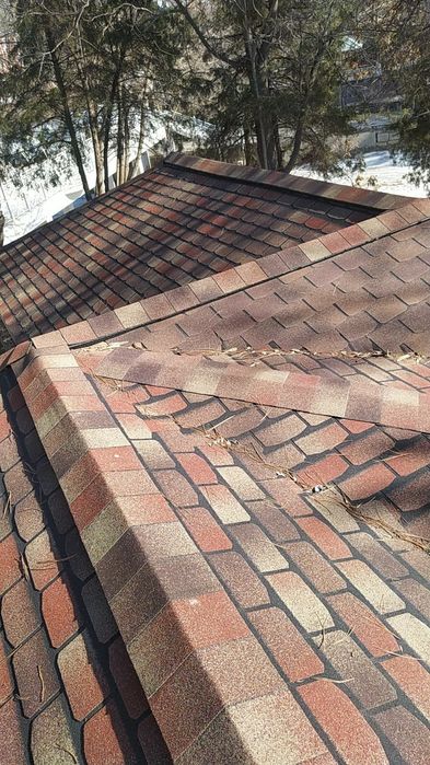 Tom Yopamiz Tez Va Sifatli