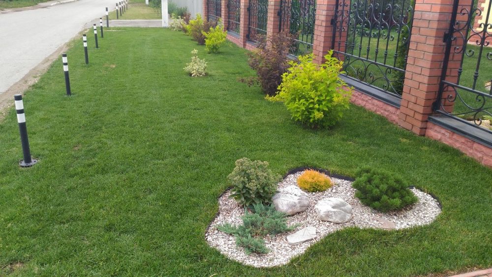 Газон посевной рулонный автополив