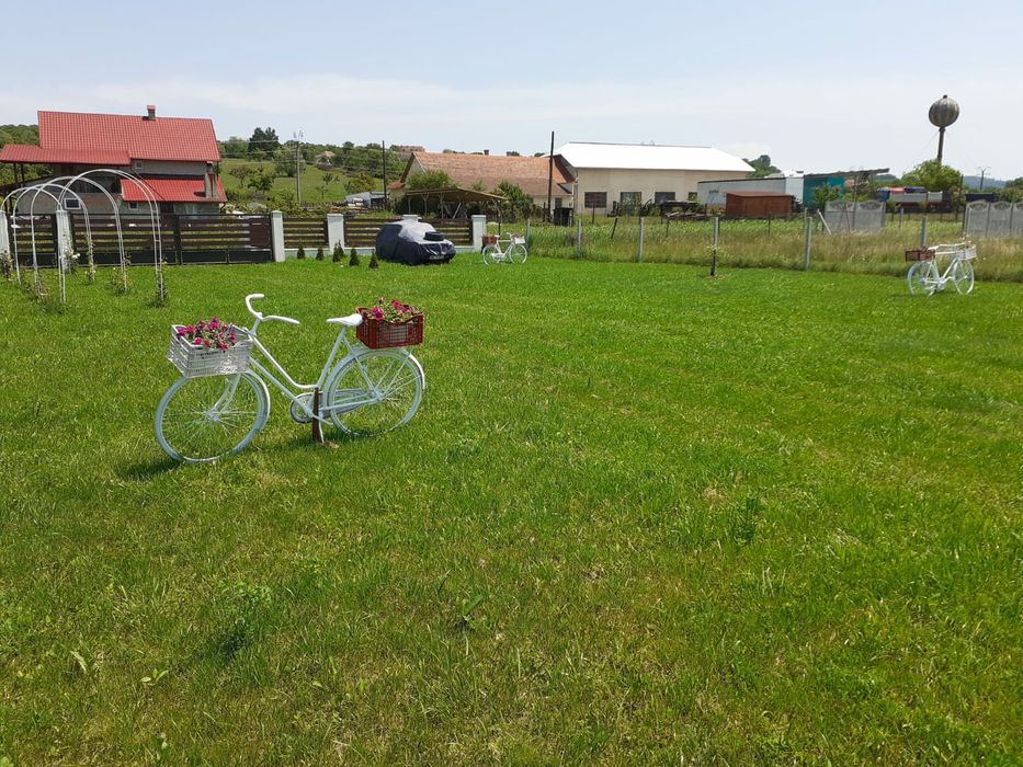 Teren Somcuta Mare intravilan