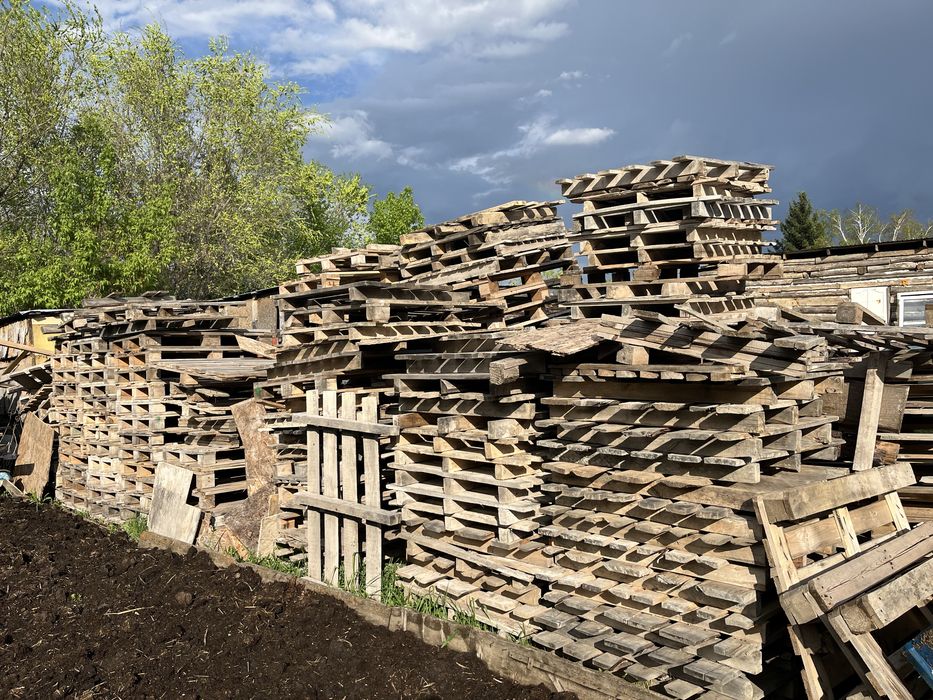 Поддоны б/у 1200тг