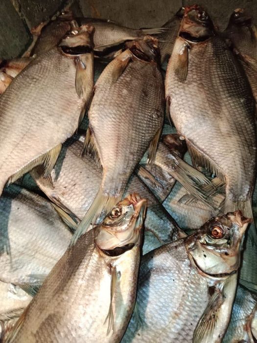 Подлещик вяленый